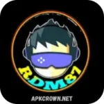 RDM87 Injector