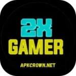 2X Gamer Injector