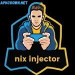 Nix Injector