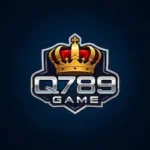 Q789 Game