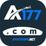 A177 Game